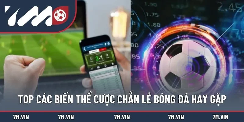 Tổng hợp những kiểu được chẵn lẻ hay gặp