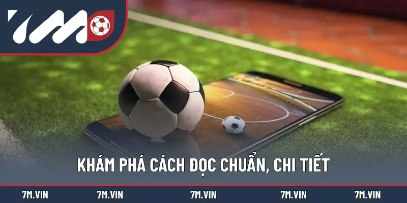 Bật mí cách đọc kèo đúng đắn