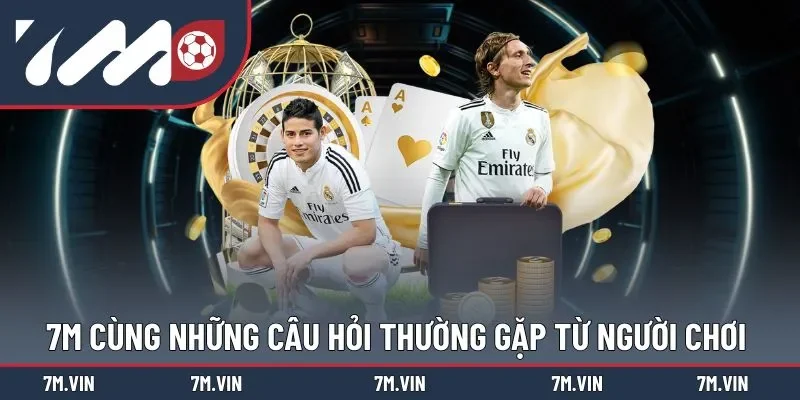 7M trả lời thắc mắc từ người dùng