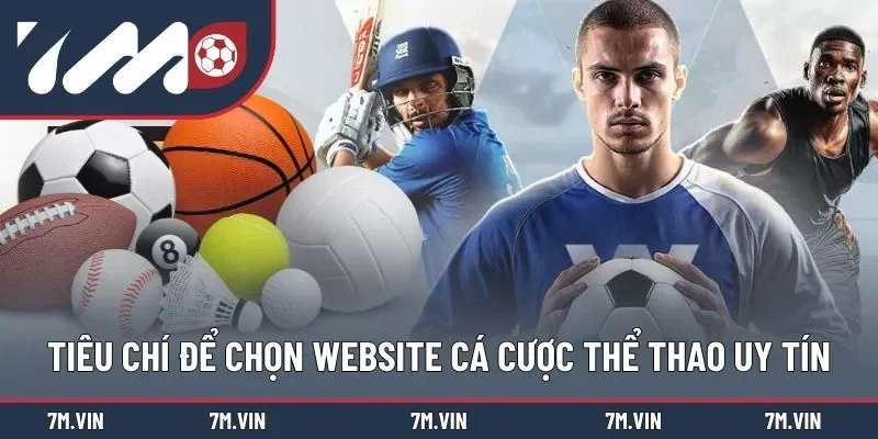 Bật mí cách chọn top 7 trang web cá cược thể thao uy tín